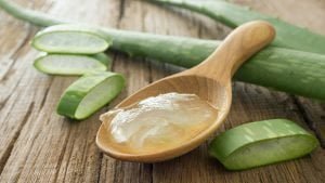 علاج البشرة الجافة وافضل الخلطات لها