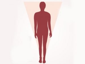 جسم الفراولة او المثلث المقلوب جسم الفراولة او المثلث المقلوب