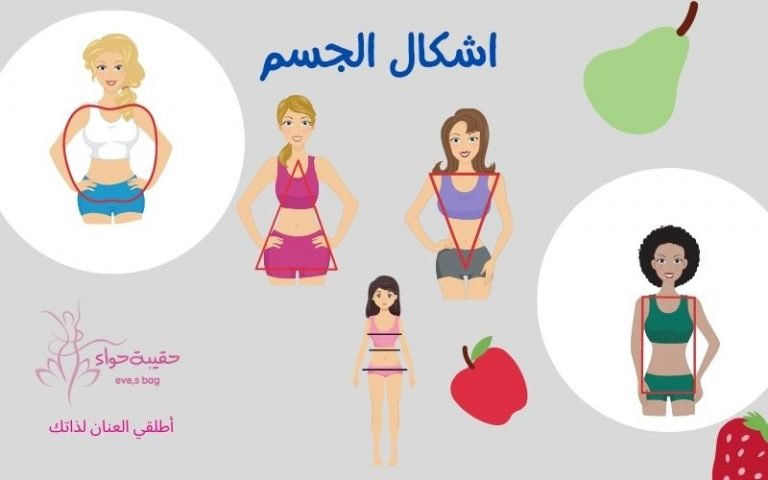 اشكال الجسم