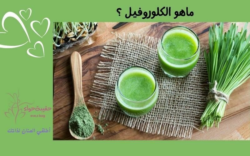 ماهو الكلوروفيل