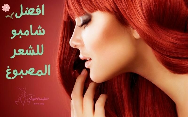 افضل شامبو للشعر المصبوغ