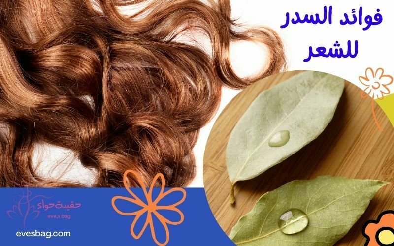 فوائد السدر للشعر