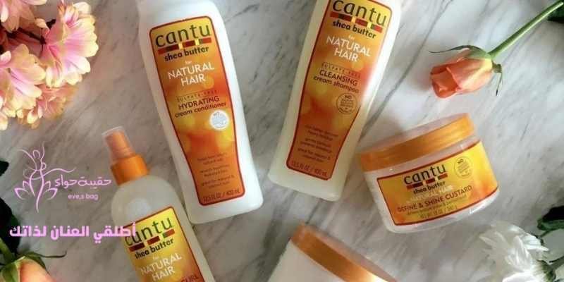 ماهي مجموعة كانتو للشعر