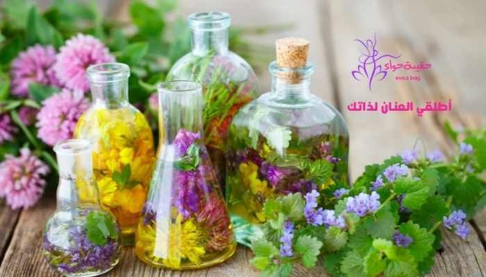 فوائد الزيوت بشكل عام للشعر