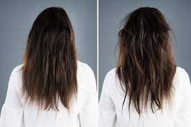 فوائد زيت اللوز الحلو للشعر فوائد زيت اللوز الحلو للشعر