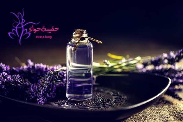 7 من فوائد زيت اللافندر للشعر صحة وجمال فوائد زيت اللافندر للشعر