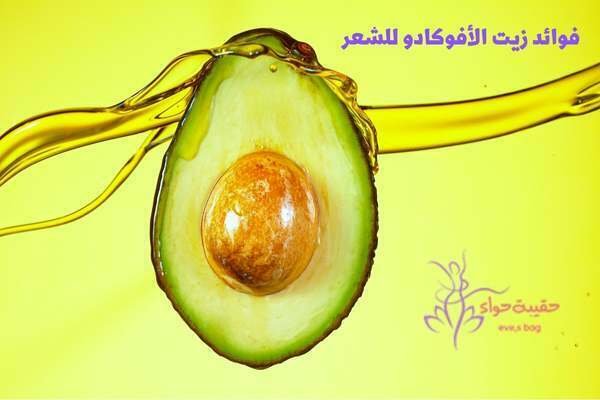 10 فوائد زيت الأفوكادو للشعر فوائد زيت الأفوكادو للشعر