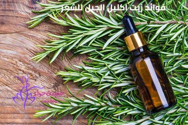 فوائد زيت اكليل الجبل للشعر
