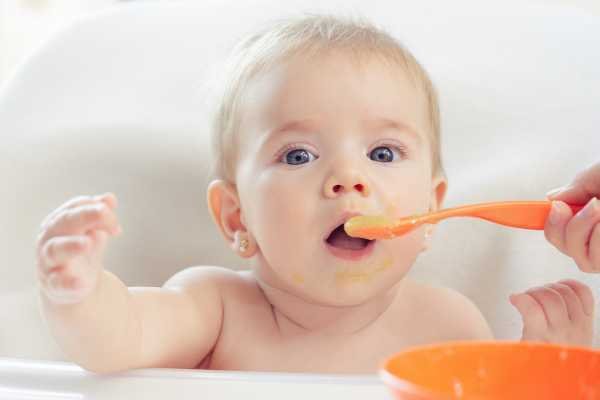 فوائد عسل مانوكا للرضع