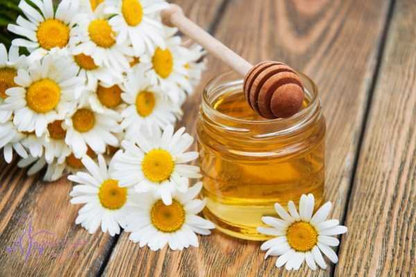 فوائد عسل المانوكا للمعده