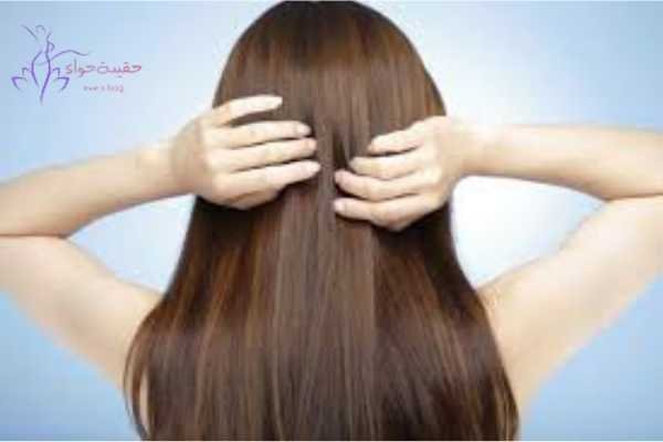 وين احصل شامبو السدر الاصلي