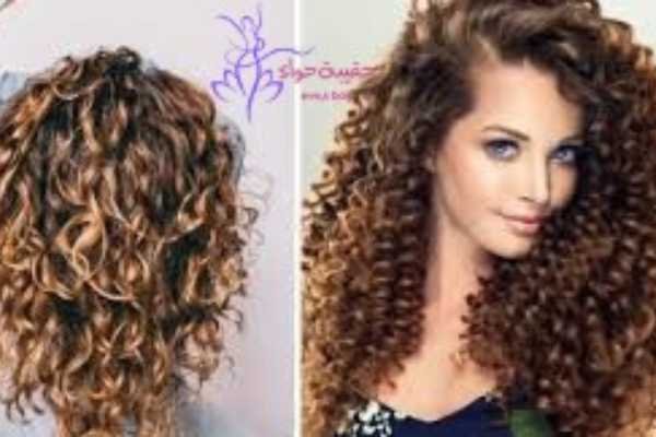 افضل شامبو للشعر الكيرلي