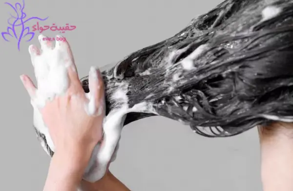 افضل شامبو للشعر